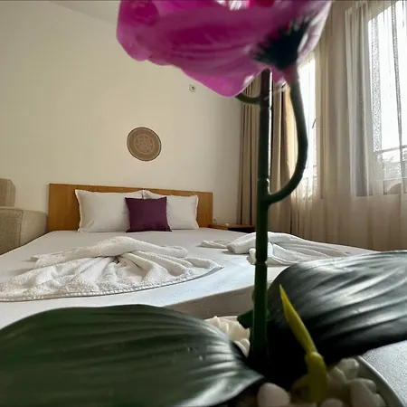 Menada In Marina Cape